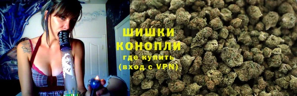 спайс Каменка