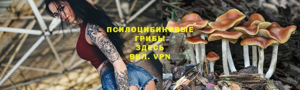 первитин Касимов